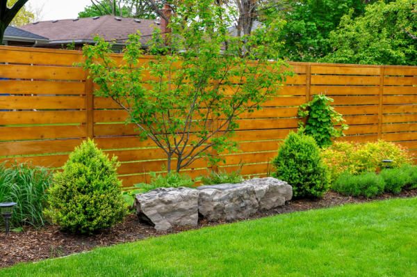 Cedar Fence