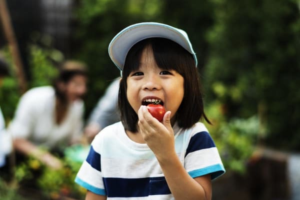 Child Eating Tomato