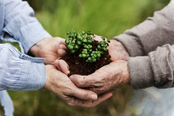 Community Planting