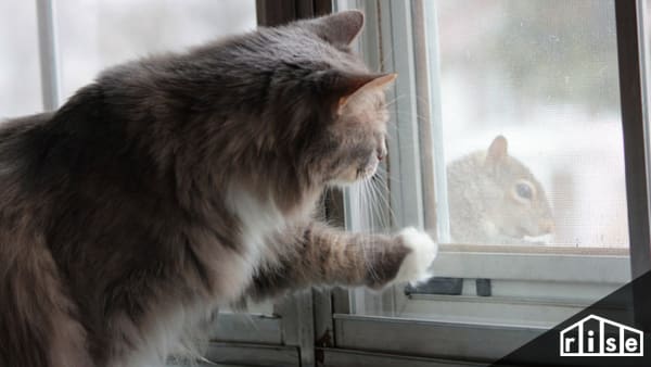 The Triple Benefit of Triple Pane Windows