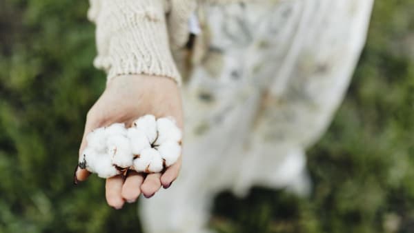 Cotton Puffs