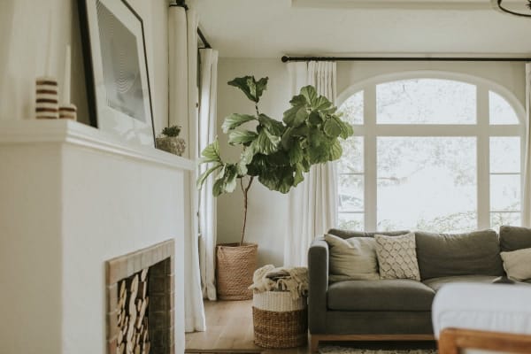 Cozy Living Room