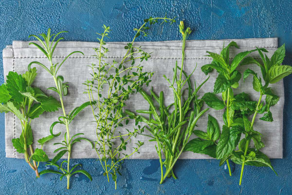 Cut Herbs