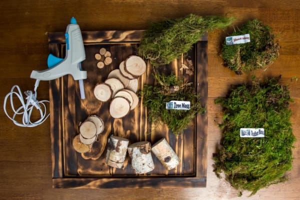 DIY Network Materials For Moss Wall