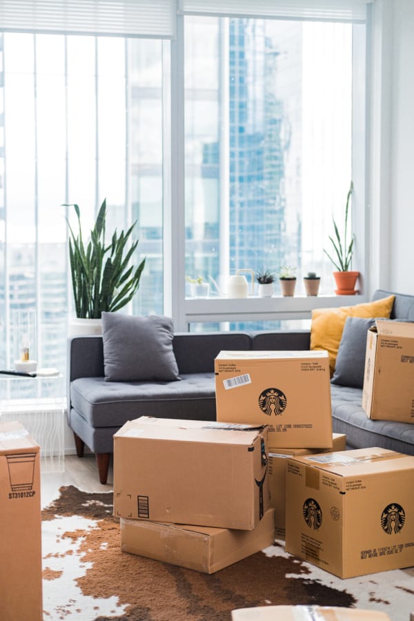 Delivered Boxes Living Room
