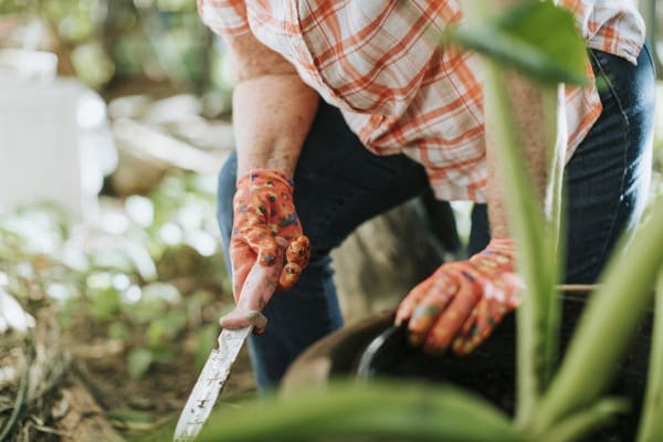 Digging In The Garden