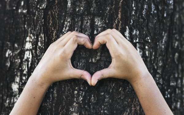 Heart tree