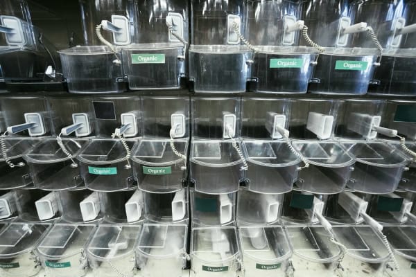 Empty Bulk Bins