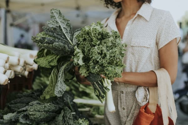 Farmer's Market