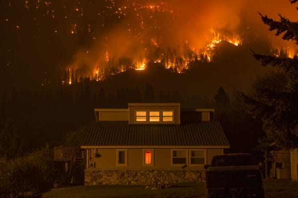 Forest Fire