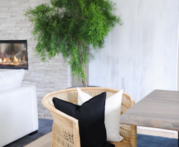 Gas Fireplace PlaidFox