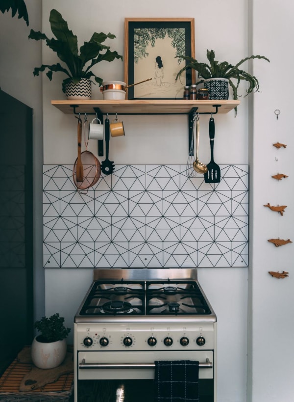 Gas Stove