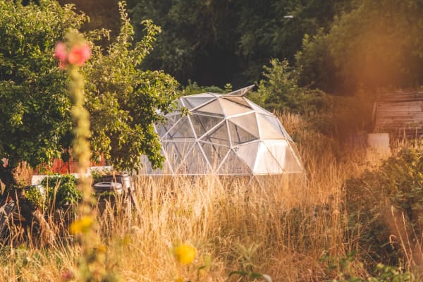 Geodesic Dome Greenhouse