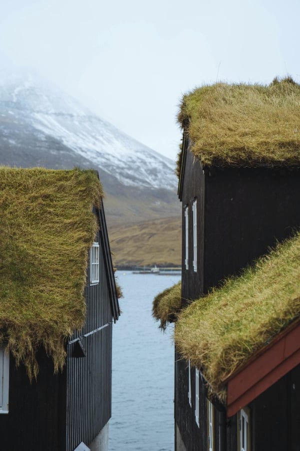 Grass Roof