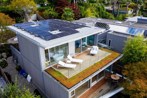 Green Roof Naikoon