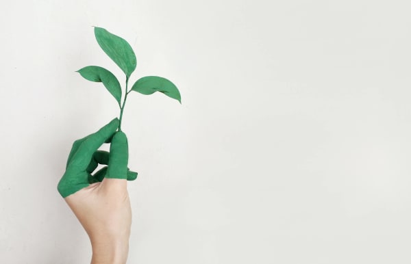 Green Thumb