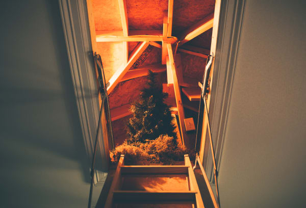 Hatch to Attic