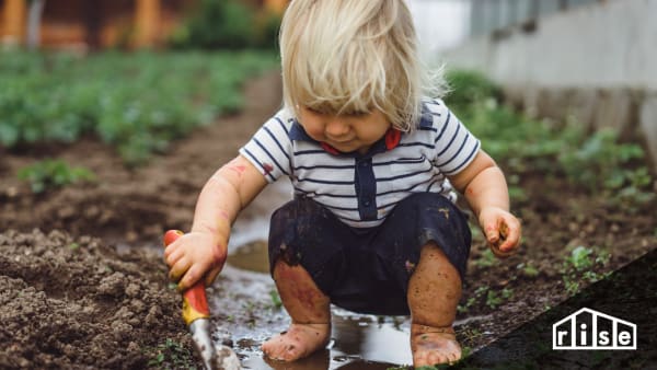 Healthy Garden