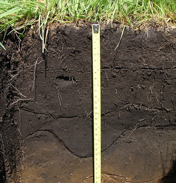 Healthy Topsoil Pure Advantage NZ