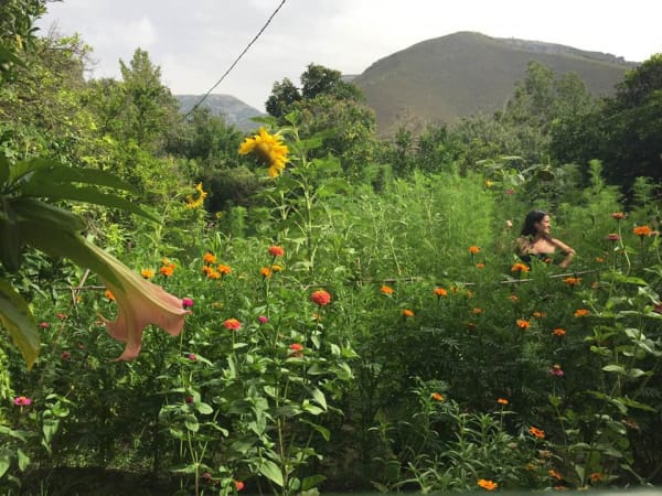 Heather Jo Flores in Her Front Yard