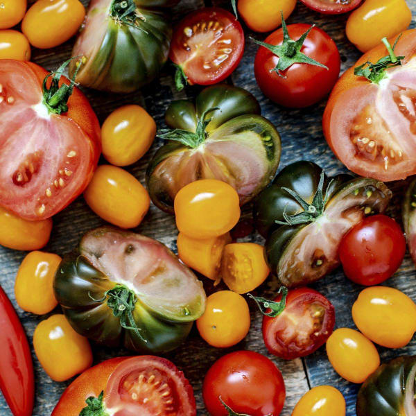 Tomato