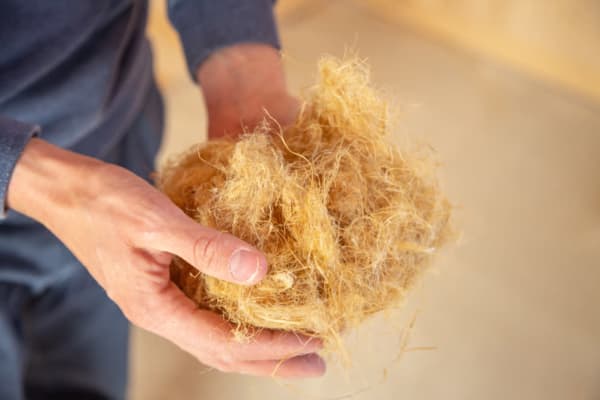 Hemp Insulation