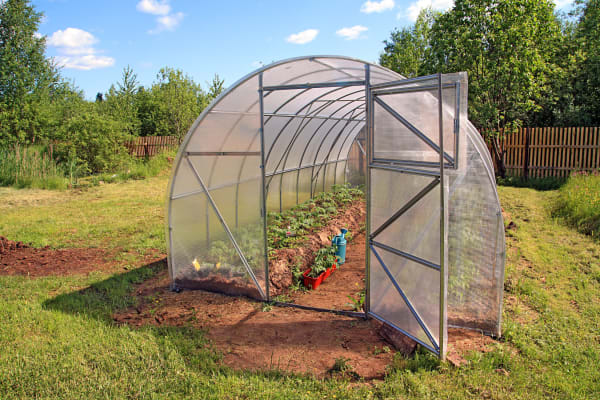 Hoop Greenhouse Baily Line Road