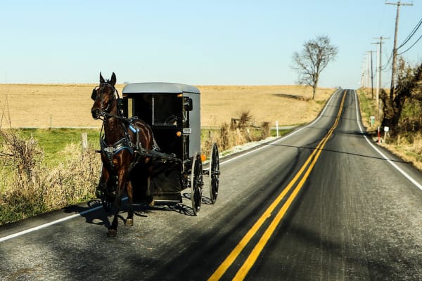 Horse and Buggy