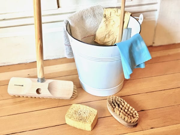 naturally clean mold