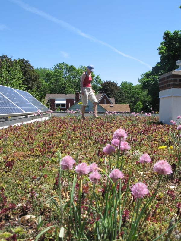 EcoDEEP Haus rooftop garden