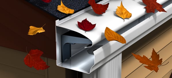 LeafGuard Gutter Guard