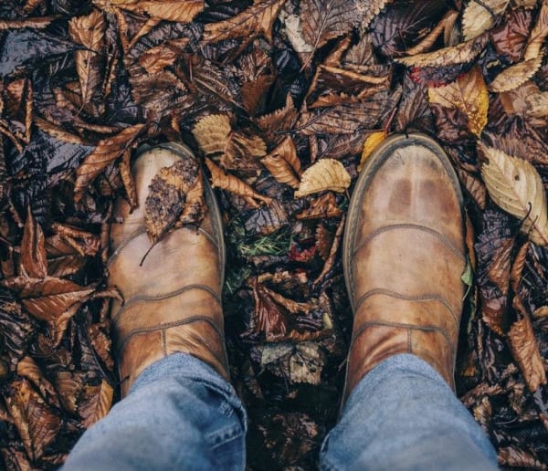 Leaves for Mulch