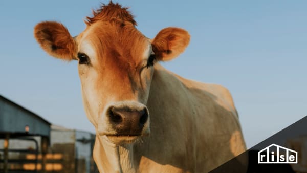 Methane and Your Home