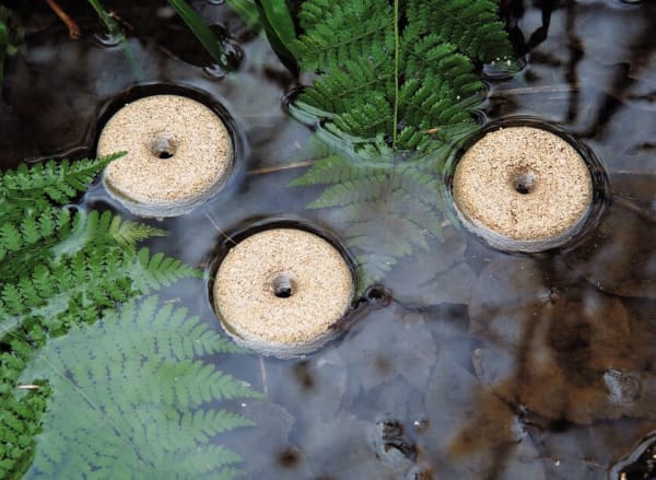 Mosquito Dunks