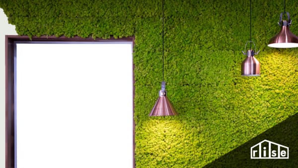 Moss Wall Header
