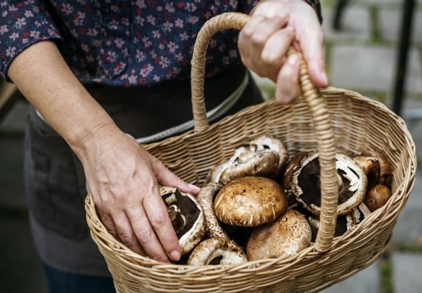 Muhrooms in Basket