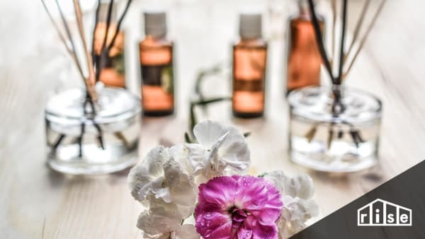 Are Air Fresheners and Deodorizers Safe?