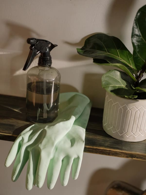 Natural Cleaners