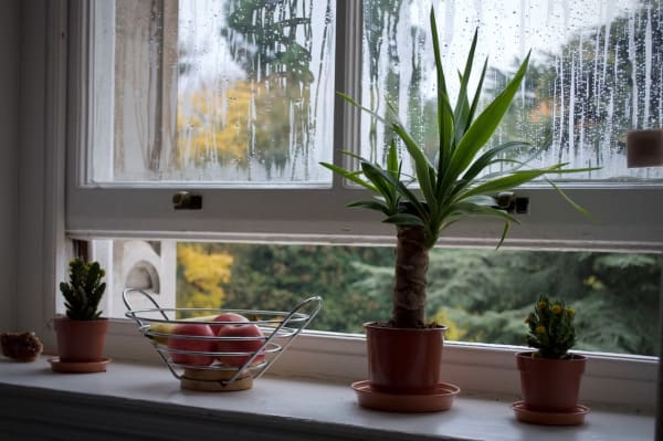 Open Window