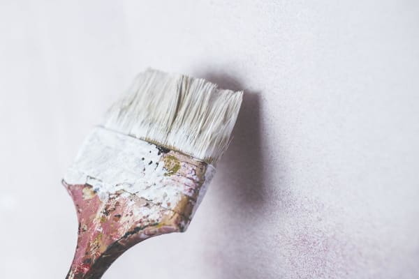 Paint Brush and Primer