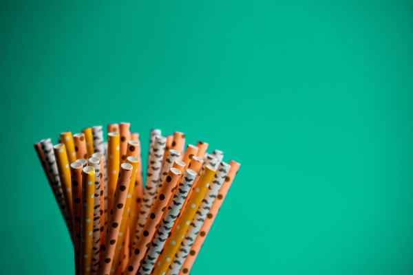 Paper Straws