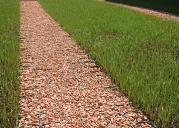 Permeable Driveway Ecoraster
