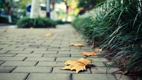 Permeable Paving
