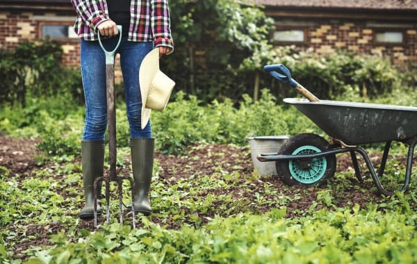 Preparing the Garden