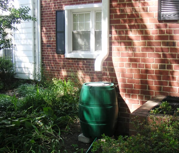 Rain Barrel