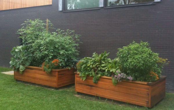 raised garden beds from old pickle vats