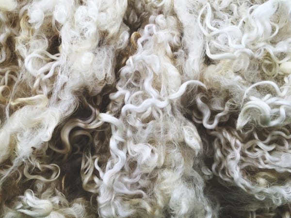 Raw Wool