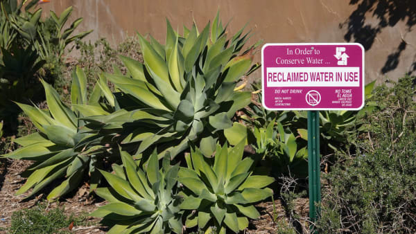 Greywater Recycling