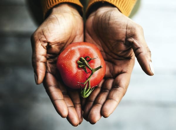 Ripe Tomato