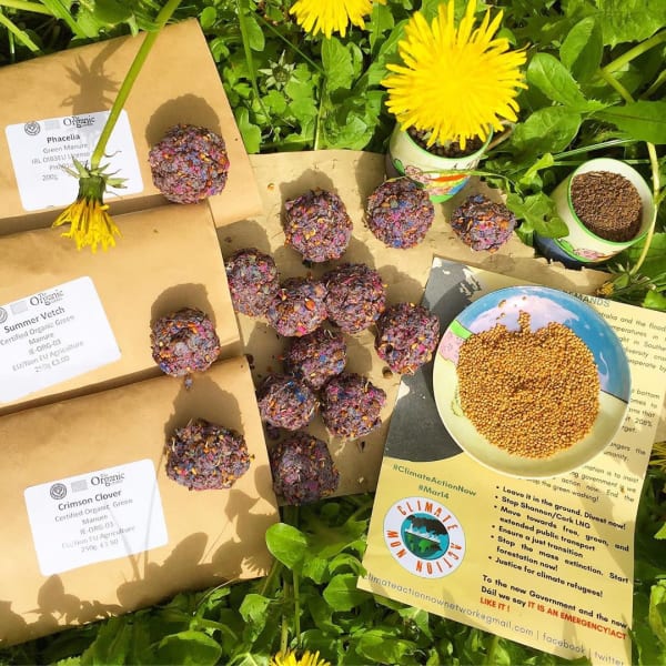 Seed Balls veghuns